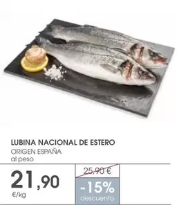 origen - Lubina Nacional De Estero