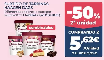Häagen-Dazs - Surtido De Tarrinas