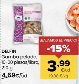 Delfín - Gamba Pelada