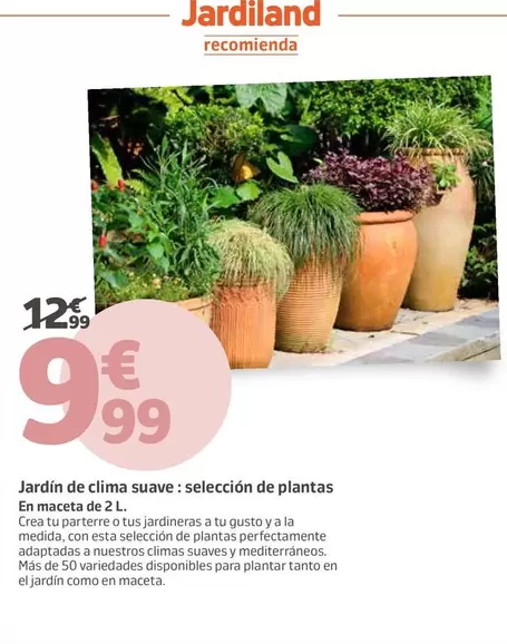Jardiland - Jardin De Clima Suave: Selección De Plantas En Macetas