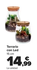 Terrario Con Led