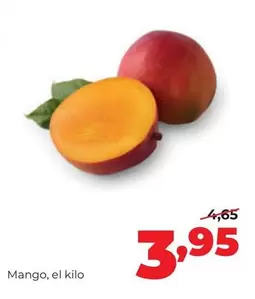 mango - Mango