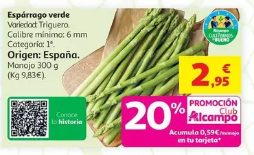 Esparrago Verde