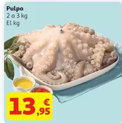 Pulpo
