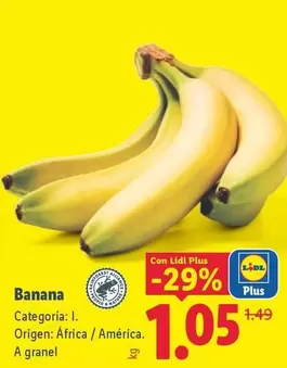 Alesto Selection - Nuez Natural