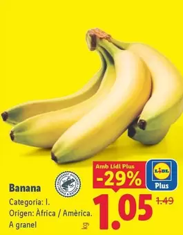 Alesto Selection - Nuez Natural