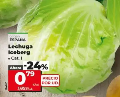 Lechuga Iceberg 