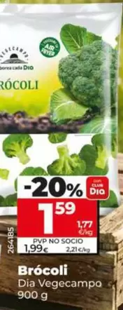 Dia Vegecampo - Brócoli 