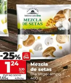 Dia Vegecampo - Mezcla De Setas 