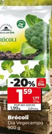 Dia Vegecampo - Brócoli 