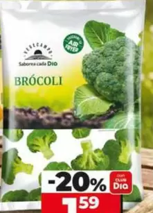 Dia Vegecampo - Brócoli 
