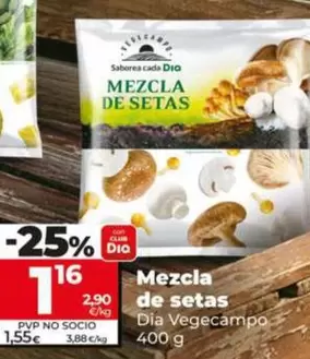 Dia Vegecampo - Mezcla De Setas
