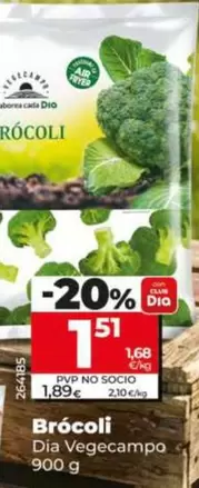 Dia Vegecampo - Brócoli 