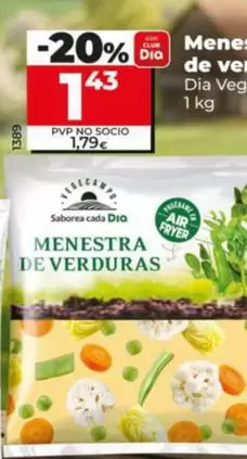 Dia Vegecampo - Menestra De Verduras