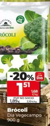 Dia Vegecampo - Brócoli 