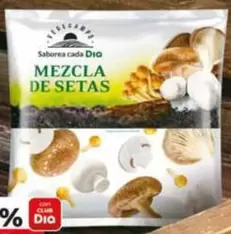 Dia Vegecampo - Mezcla De Setas 
