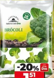 Dia Vegecampo - Brócoli 
