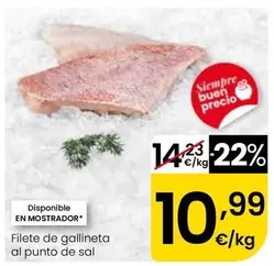 Filete De Gallineta Al Punto De Sal