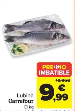 carrefour - Lubina