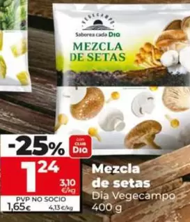 Dia Vegecampo - Mezcla De Setas
