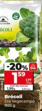 Dia Vegecampo - Brócoli 