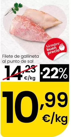 Filete De Gallineta Al Punto De Sal