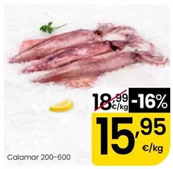 Calamar 200-600