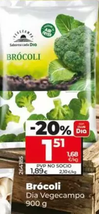Dia Vegecampo - Brócoli