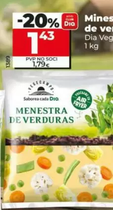 Dia Vegecampo - Menestra De Verduras 
