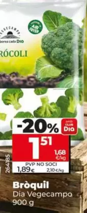Dia Vegecampo - Brócoli 