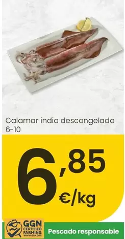 Calamar Indio Descongelado