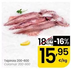 Calamar 200-600