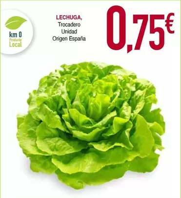origen - Lechuga