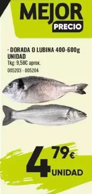 Dorada O Lubina