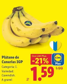 Plátano De Canarias - IGP