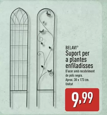 Belavi - Suport Per A Plantes Enfiladisses