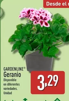 Gardenline - Geranio