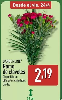 Gardenline - Ramo De Claveles