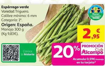 Espárrago Verde