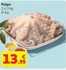 Pulpo
