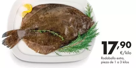 Rodaballo Extra, Pieza De 1 A 3 Kilos