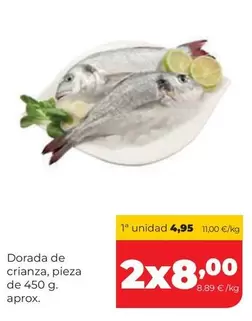 Dorada De Crianza