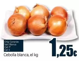 Cebolla Blanca