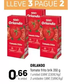 Orlando - Tomate Frito Brik