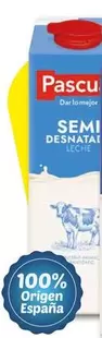 Pascual - Leche Semidesnatada