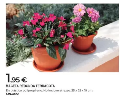 Maceta Redonda Terracota