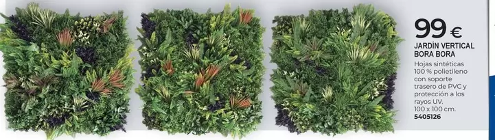 vertical - Jacin Vertical Box