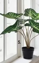 En Todos Los Productos De Cocina