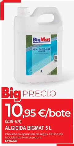 Bigmat - Algicida