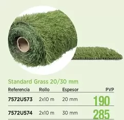 Standard Grass 20/30 Mm